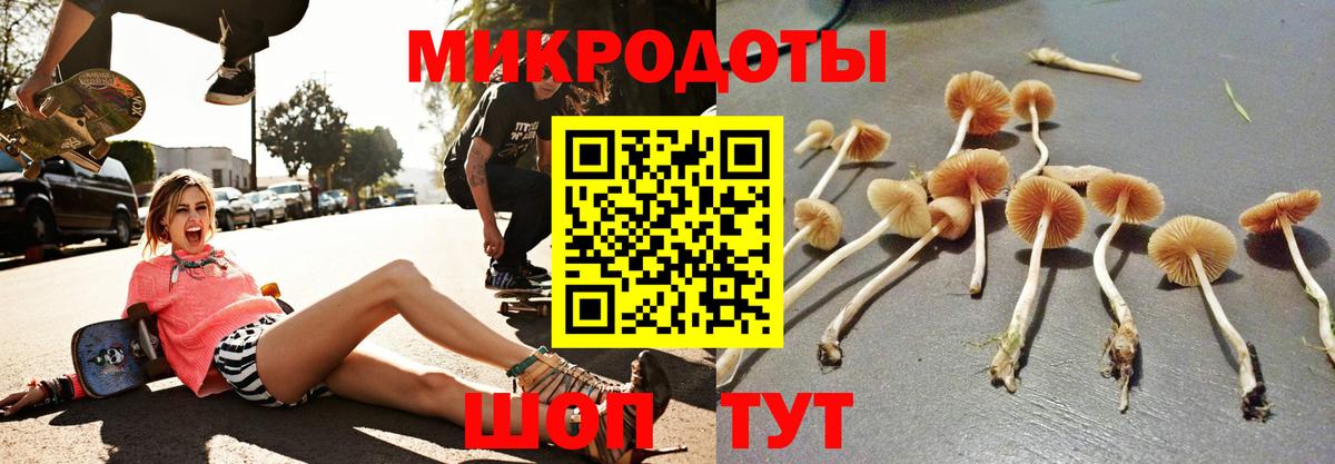 Галлюциногенные грибы Magic Shrooms Полевской
