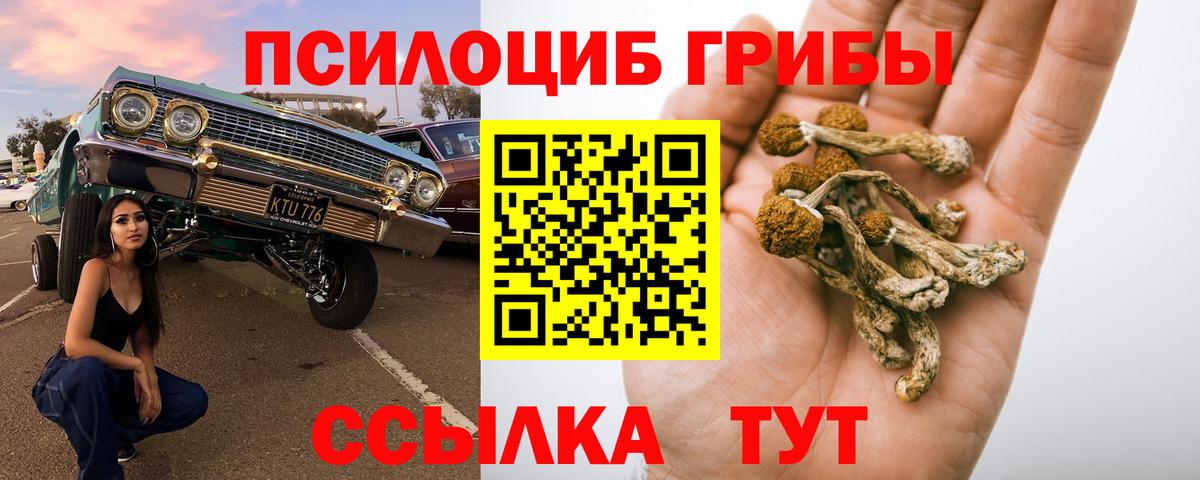 Псилоцибиновые грибы Magic Shrooms  Вход с VPN  Полевской 